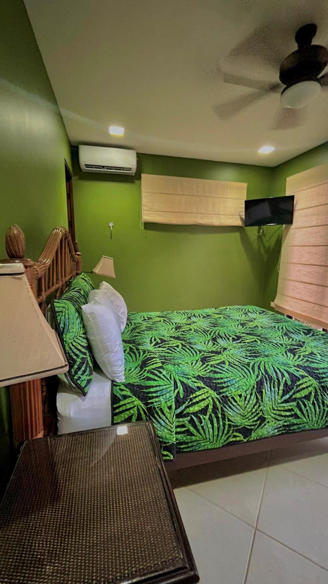 Villa Vista Mar ドミニカル エクステリア 写真